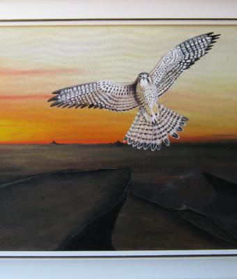 volo
