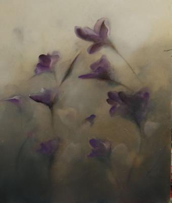 viola