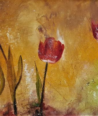 il-quinto-tulipano