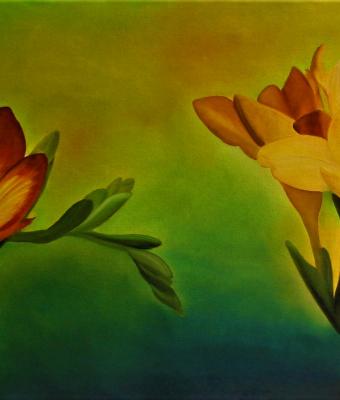 fiori