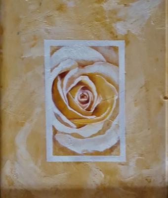 rosa