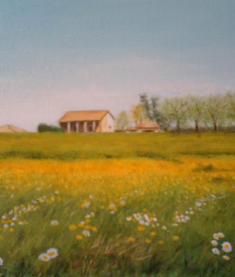 primavera-in-campagna