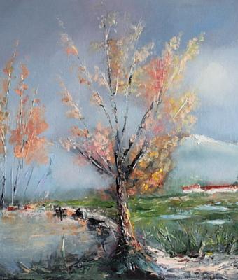 campagna-prima-di-dicembre