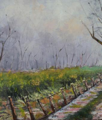 autunno-in-campagna