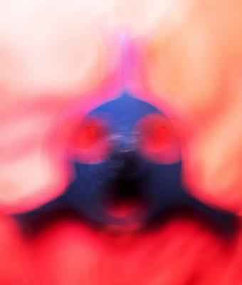 killer-fisch