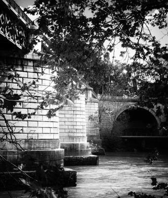 cloaca-roma