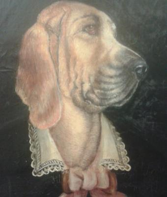 il-cane-nobile