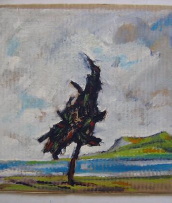 1997albero-in-riva-al-lago