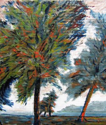 1997alberi-in-riva-al-lago-2