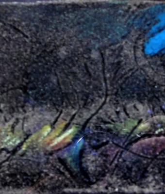 2014salmo-di-cieli-azzurri-e