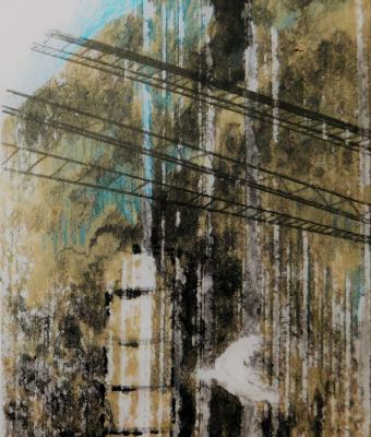 2016chernobyl-19862016-3