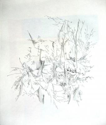 ga233427-senza-titolo