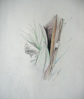 ga233480-senza-titolo