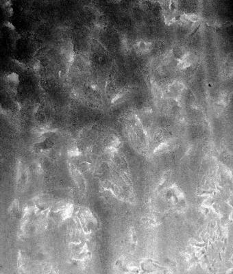 ga237150-senza-titolo