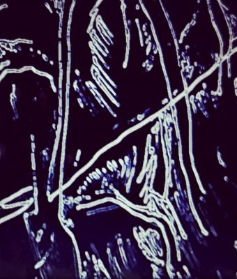 ga237303-senza-titolo