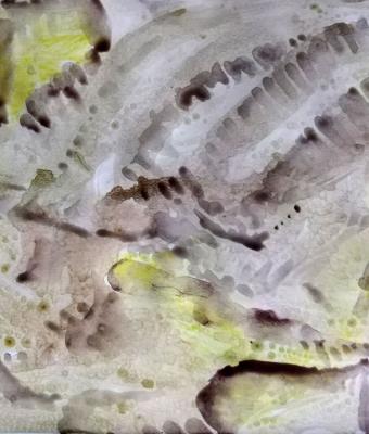 ga237325-senza-titolo