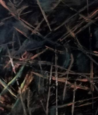 ga240259-senza-titolo