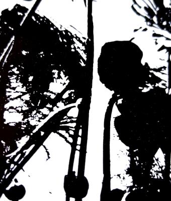 ga243583-senza-titolo