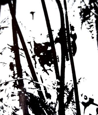 ga243585-senza-titolo