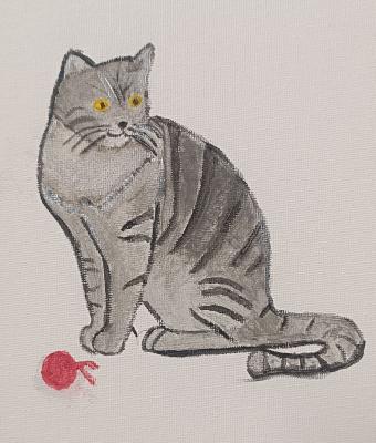 il-gatto