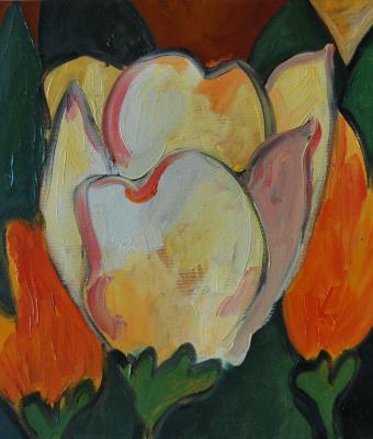 tulipani-in-bianco