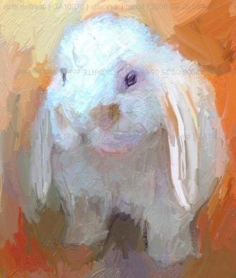rabbit