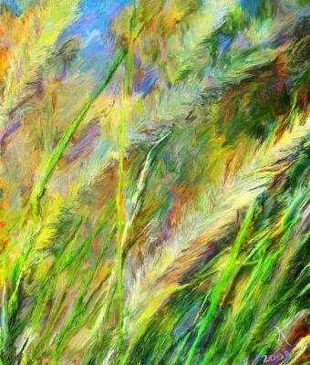 grass