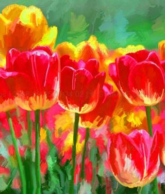 tulips