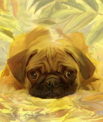 mops