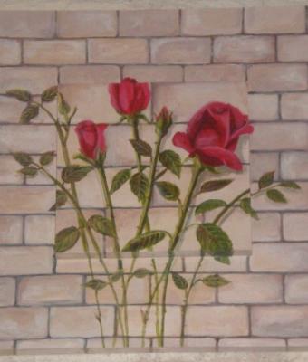 rose-su-muro