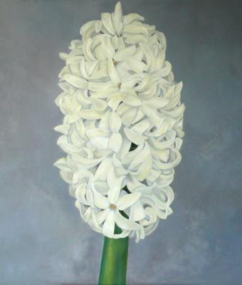 studio-natura
