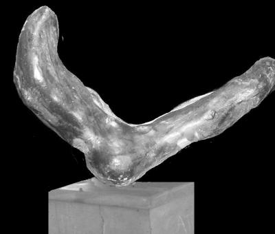nuove-sculture-di-gialdini-a-celle-ligure