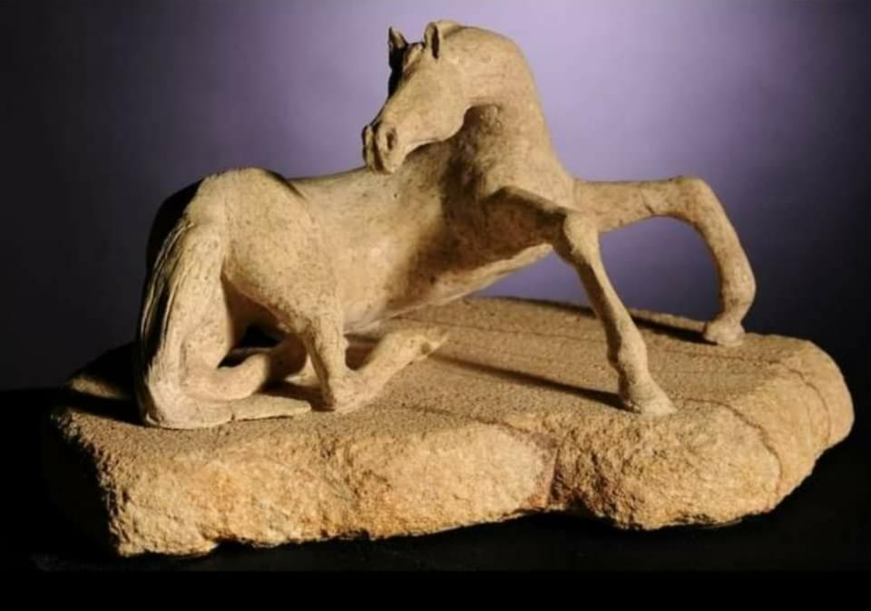 cavallo