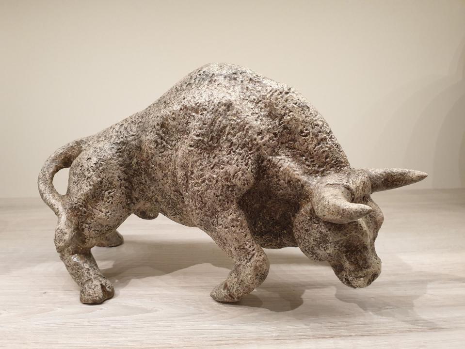 toro
