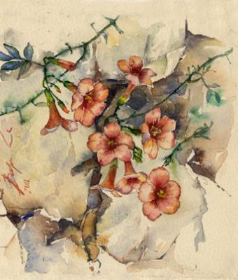 fiori-arancioni