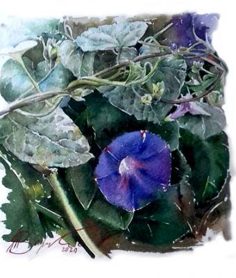fiore-blu