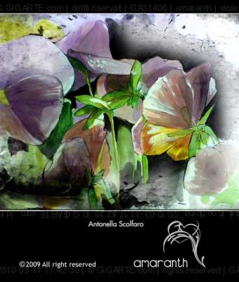 viole-in-notturna