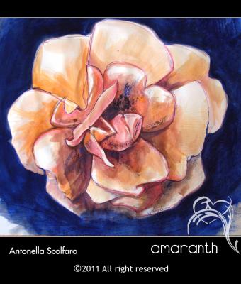 camelia