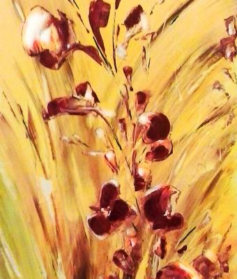 orchidee