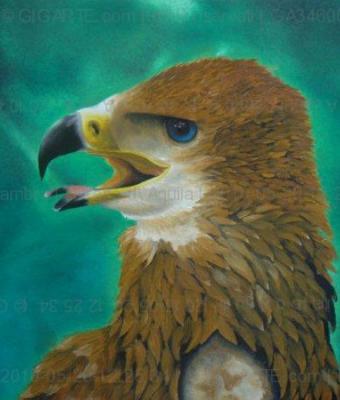 ritratto-d-aquila