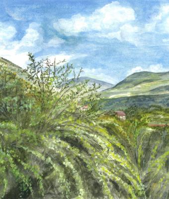 la-valle-di-nerfa