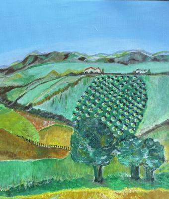 paesaggio-intorno-a-san-demetr