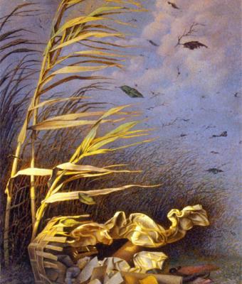 canne-al-vento