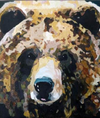 orso-in-bozza