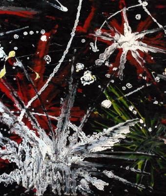 fuoco-notturno