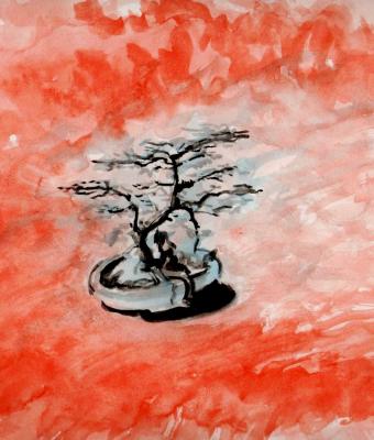 bonsai