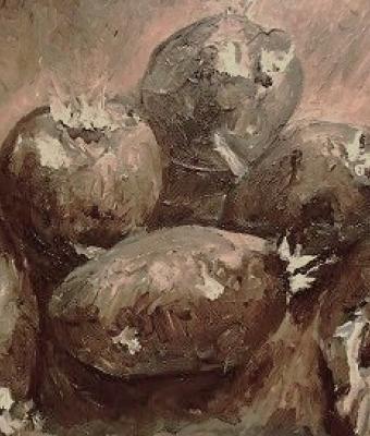 tuberi