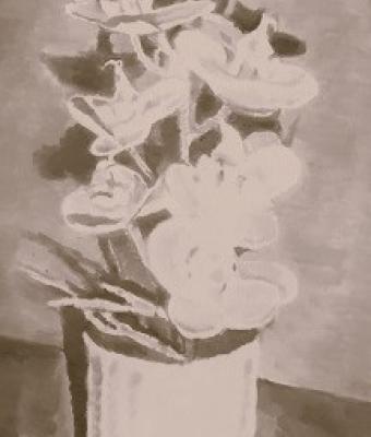 orchidee