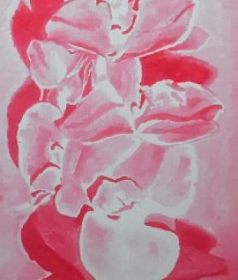 orchidee