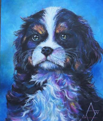 cavalier-king
